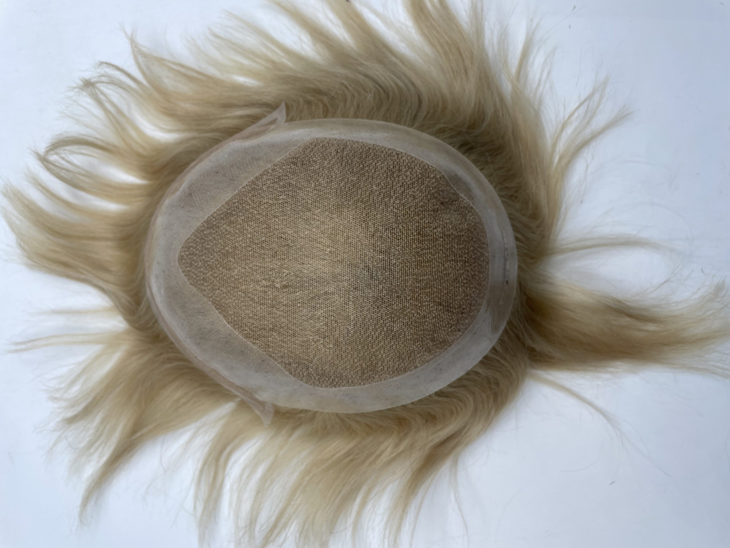 Hollywood 20220818 1