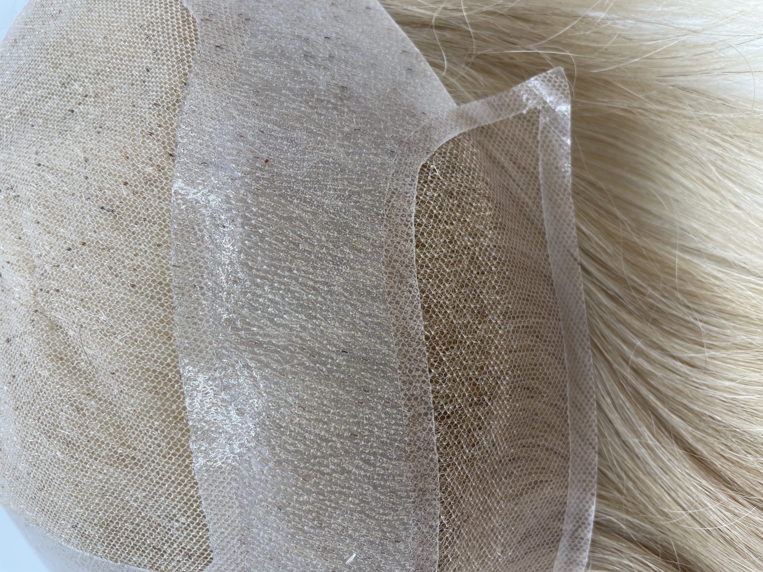 Hollywood 20220818 2